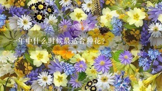 一年中什么时候最适合种花？