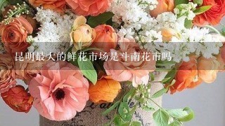 昆明最大的鲜花市场是斗南花市吗