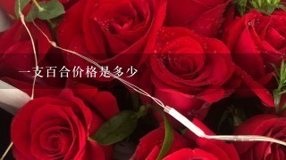 一支百合价格是多少