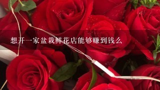 想开一家盆栽鲜花店能够赚到钱么