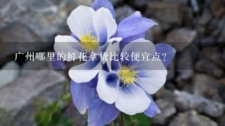 广州哪里的鲜花拿货比较便宜点？