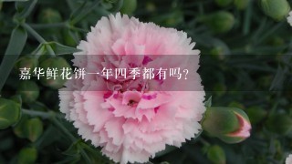 嘉华鲜花饼一年四季都有吗？