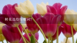 鲜花送给你歌词？