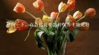 想问一下，百合鲜花要怎样保养才能更好