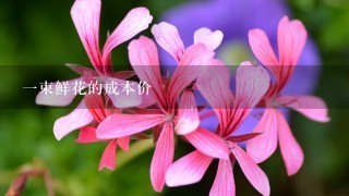 一束鲜花的成本价