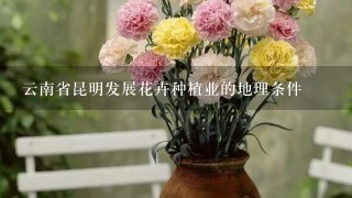 云南省昆明发展花卉种植业的地理条件