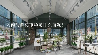 云南的鲜花市场是什么情况？