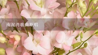 南泥湾歌曲原唱