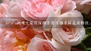 DNF:剑魂土豪哥深渊非常直播求鲜花求粉丝，背景音乐叫什么？