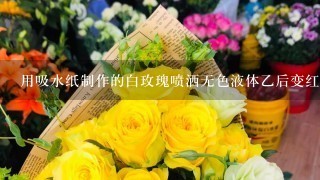 用吸水纸制作的白玫瑰喷洒无色液体乙后变红，继续喷洒该液体后又变为白色。揭秘喷洒无色液体乙前，白玫瑰先用某无色液体甲处理过，喷洒无色液体乙是由两种液体混合而成的，组成甲、乙两种液体的物质是初中化学常见的物质。液体乙可能是什么？玫瑰花由红色变为白色时化学方程式可能是