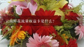 云南鲜花流量权益卡是什么？