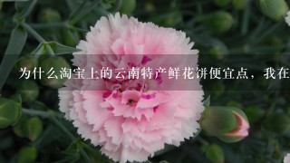 为什么淘宝上的云南特产鲜花饼便宜点，我在丽江古城买的鲜花饼40个饼却要100块？