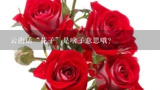 云南话“花子”是啥子意思哦？