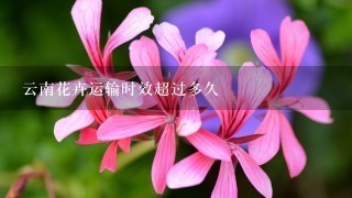 云南花卉运输时效超过多久