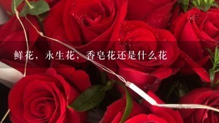 鲜花，永生花，香皂花还是什么花