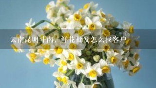 云南昆明斗南，鲜花批发怎么找客户