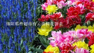 绵阳那些超市有云南鲜花饼卖