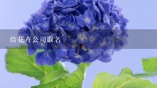 给花卉公司取名