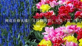 鲜花价格大涨！直接翻四倍！究竟“花”生了什么？