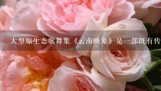 大型原生态歌舞集《云南映象》是一部既有传统之美，又有现代之力的舞台新作。她将最原生的原创乡土歌舞精髓和民族舞经典全新整合...