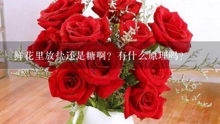 鲜花里放盐还是糖啊？有什么原理吗？