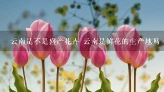 云南是不是盛产花卉 云南是鲜花的生产地吗