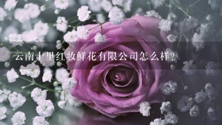 云南十里红妆鲜花有限公司怎么样？