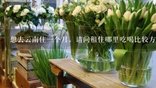 想去云南住1个月，请问租住哪里吃喝比较方便?