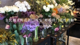 全民精灵鲜花拱门图鉴 鲜花拱门属性详解