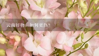 云南好物，如何更热？