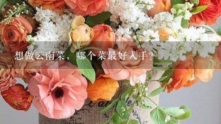 想做云南菜，哪个菜最好入手？