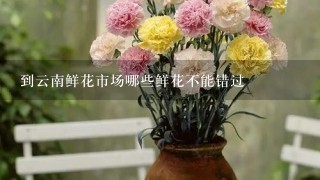 到云南鲜花市场哪些鲜花不能错过