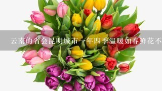 云南的省会昆明城市1年4季温暖如春鲜花不断人们常用诗句来形容美丽的城市这