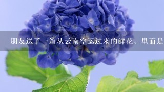 朋友送了1箱从云南空运过来的鲜花，里面是1束1束