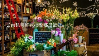 云南昆明鲜花批发哪里最好