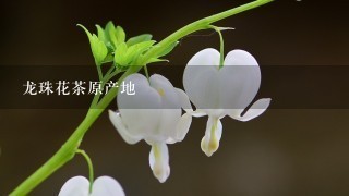 龙珠花茶原产地