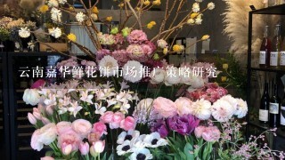 云南嘉华鲜花饼市场推广策略研究