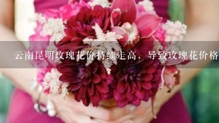 云南昆明玫瑰花价持续走高，导致玫瑰花价格上涨的原