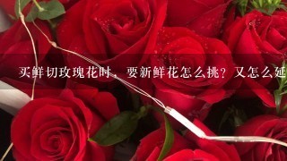 买鲜切玫瑰花时，要新鲜花怎么挑？又怎么延长花期？