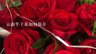 云南半干花如何保存