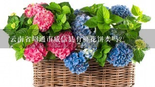 云南省昭通市威信县有鲜花饼卖吗？