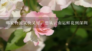 哪家物流又快又好，想从云南运鲜花到深圳