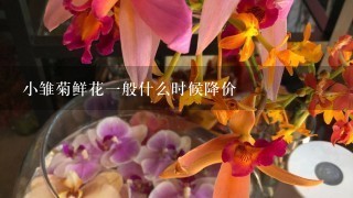 小雏菊鲜花1般什么时候降价