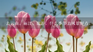 去云南，丽江，旅游，什么季节去风景好点，1般花费是多少？