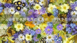 云南省是我国花卉产业大省,1年4季都有大量鲜花销往全国各地,花卉产业已成为我省许...