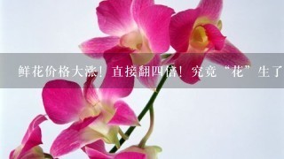 鲜花价格大涨！直接翻4倍！究竟“花”生了什么？