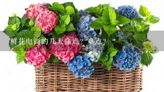 鲜花电商的几大痛点？难点？