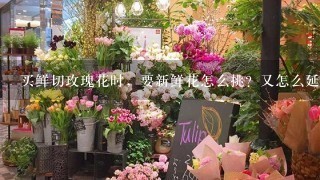 买鲜切玫瑰花时，要新鲜花怎么挑？又怎么延长花期？