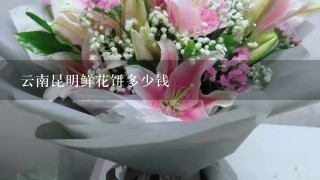 云南昆明鲜花饼多少钱