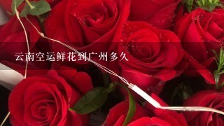 云南空运鲜花到广州多久